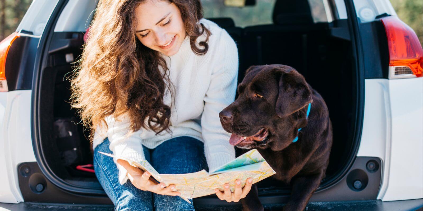 Ultimate Guide to Planning a PetFriendly Road Trip